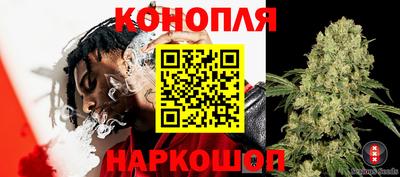 метадон Гай
