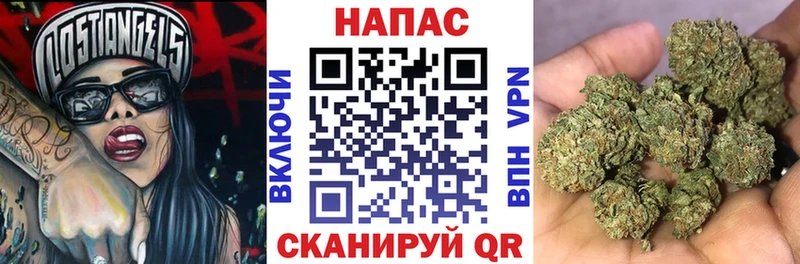 Шишки марихуана OG Kush  где найти   Краснознаменск 